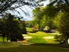 champ image 1180310